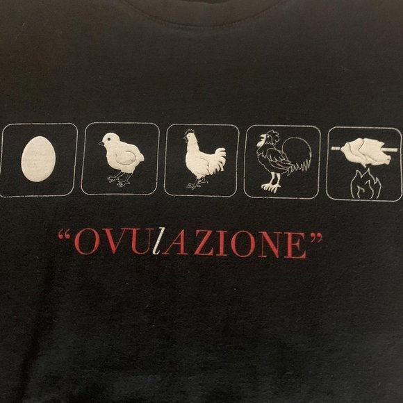 Evolution Egg to Meal t shirt –  Darwin Theory ret - Picture 1 of 8